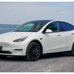 Tesla Model Y prices will increase this month: Elon Musk