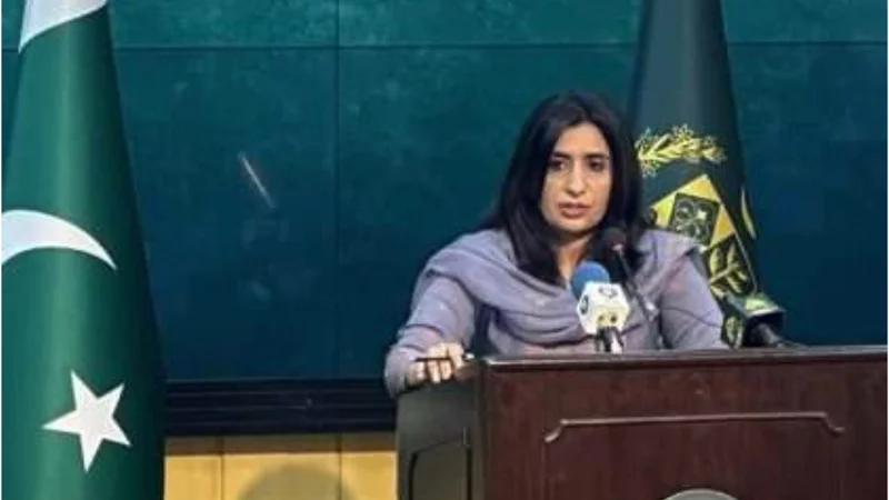 Pakistan not invaded Afghanistan but acted against terrorists: FO