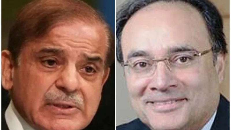 Finance Minister Aurangzeb will be new chairman of reshaped ECC