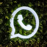 WhatsApp to allow users to send all media in HD quality