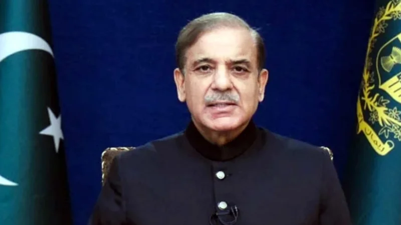 PM Shehbaz reconstitutes Council of Common Interests