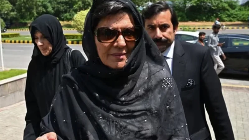 FIA summons Aleema Khan over cybercrime charges