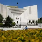 SC files review petition for restoration of the bat symbol
