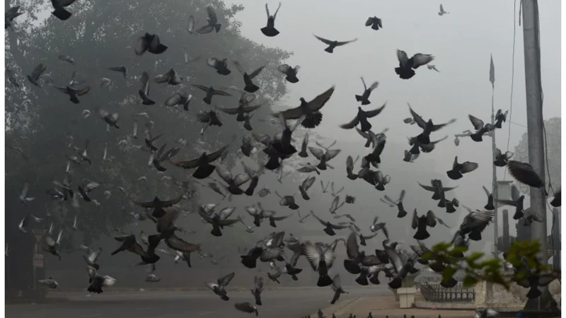 Lahore weather update