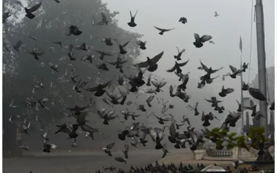 Latest weather update Lahore, Punjab