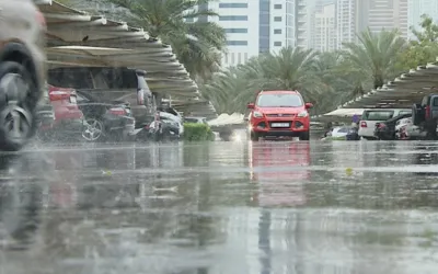 UAE Ministry urges remote work amid heavy rainfall