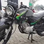 Yamaha rolls out Markhor-inspired sticker for YBR 125G model