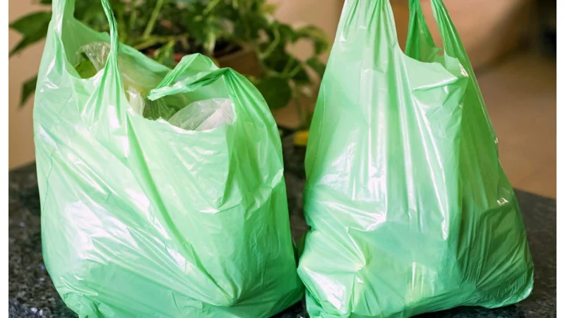 Sindh to ban use of plastic bags across the province