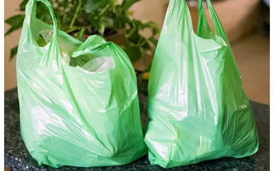 Sindh to ban use of plastic bags across the province