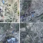 Major infiltration foiled by security forces, 54 terrorists killed