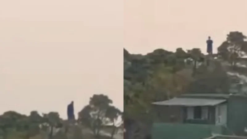 A Giant spotted in Brazil? Locals shocked as viral video raises more questions than answers