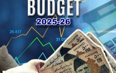 Pakistani Govt plans major income Tax relief for salaried workers, ongoing consultations with IMF