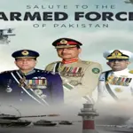 Triumph of Pakistan Forces: Ceasefire Marks Strategic Win