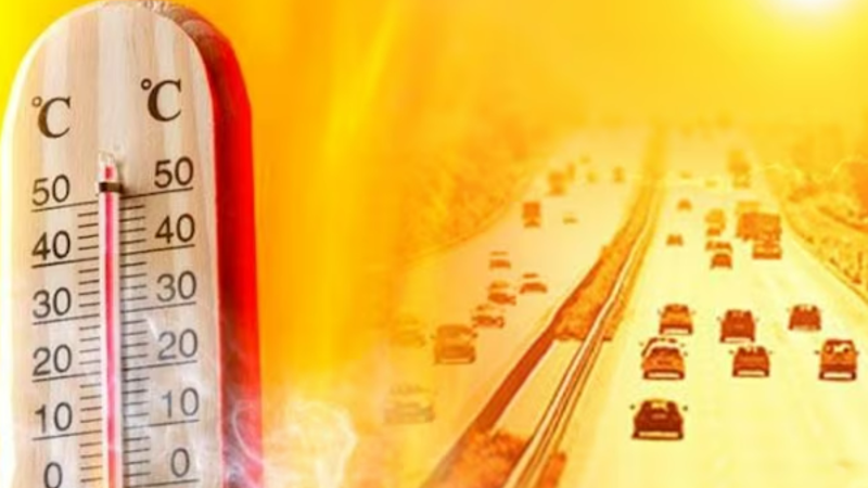 Heatwave alert