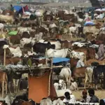 Eid-ul-Adha date announced in Pakistan- Check here