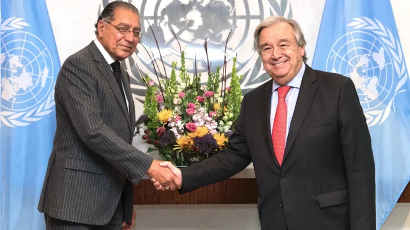 Pakistan formally begins 2-year term at UN Security Council
