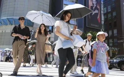 China records its warmest year ever in 2024 since 1961