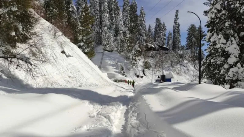 five emergency points to be setup in Galyat for snowfall season
