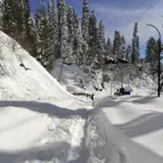 five emergency points to be setup in Galyat for snowfall season