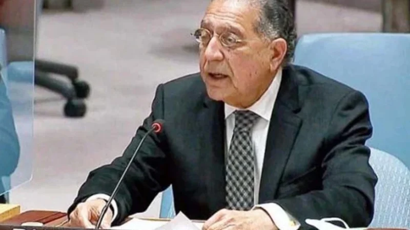 Pakistan calls for representative governance in Syria to ensure unity