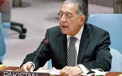 Pakistan calls for representative governance in Syria to ensure unity