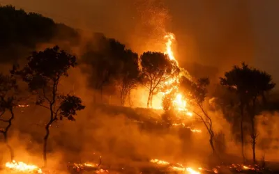 Los Angeles Wildfires Escalate, Prompting Evacuations in Hollywood