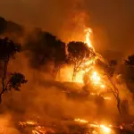 Los Angeles Wildfires Escalate, Prompting Evacuations in Hollywood