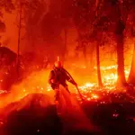 Los Angeles wildfires trigger air quality warnings, health concerns