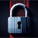 61% of Pakistani businesses consider data protection as key IT security concern