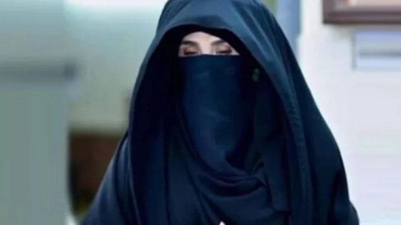 £190m case verdict against PTI founder, Bushra Bibi postponed again
