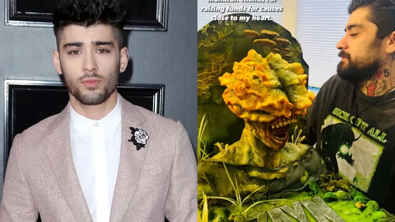 Zayn Malik celebrates 32nd birthday with uniquely horror "Last of Us" cake
