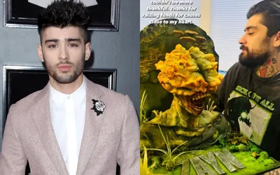 Zayn Malik celebrates 32nd birthday with uniquely horror "Last of Us" cake