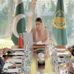 Punjab cabinet approves Asaan Karobar Finance Scheme
