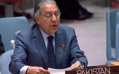 Libyan people’s destiny should be in their hands; says Ambassador Munir Akram