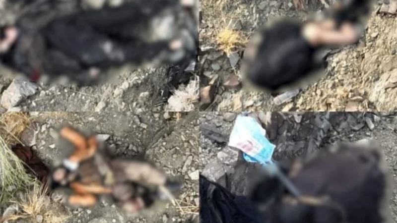 Security forces kill 5 Khwarij terrorists on Pakistan-Afghanistan border
