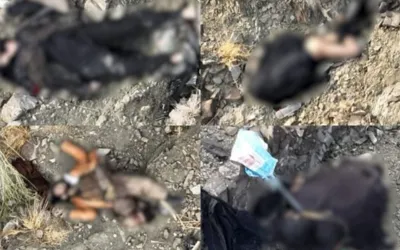 Security forces kill 5 Khwarij terrorists on Pakistan-Afghanistan border