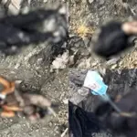 Security forces kill 5 Khwarij terrorists on Pakistan-Afghanistan border