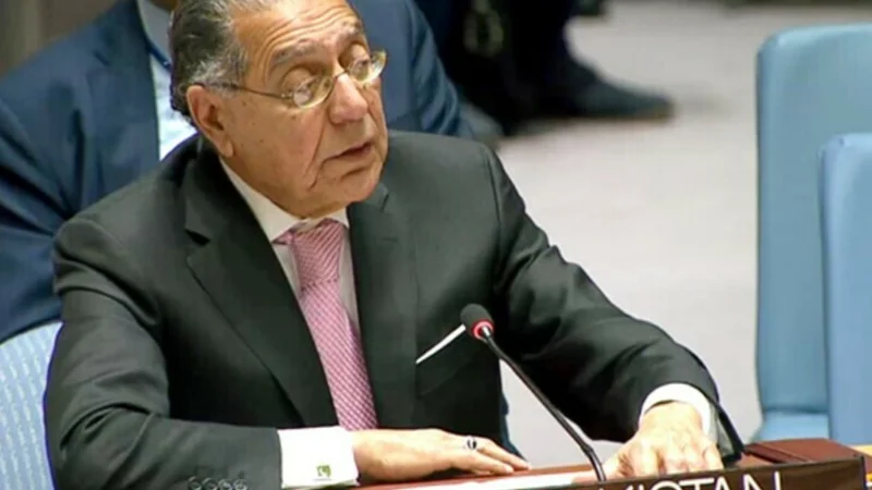 Pakistan’s UN envoy discusses Africa-related issues with Rwanda’s FM
