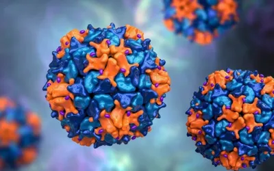 Sindh districts report polio virus in sewage samples