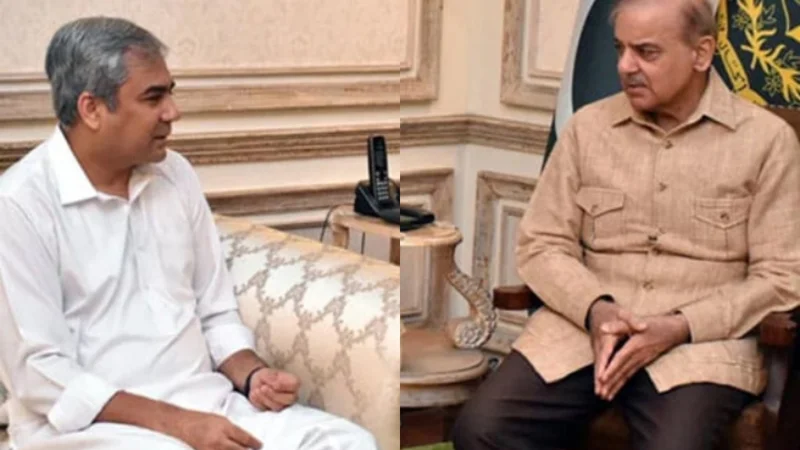 Interior Minister Naqvi briefs PM Shehbaz about US visit
