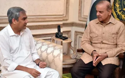Interior Minister Naqvi briefs PM Shehbaz about US visit
