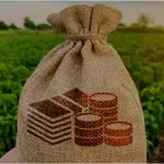 Sindh cabinet approves agricultural income tax bill 2025