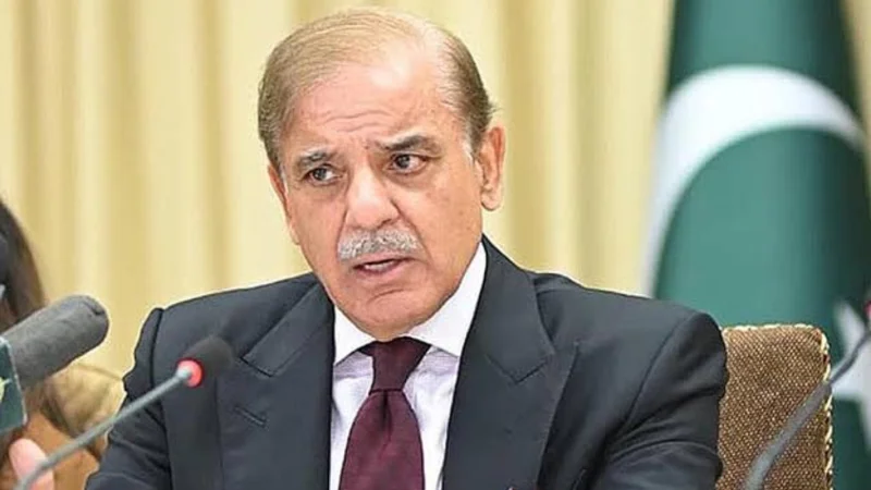 PM review task management system for SOE’s privatization process