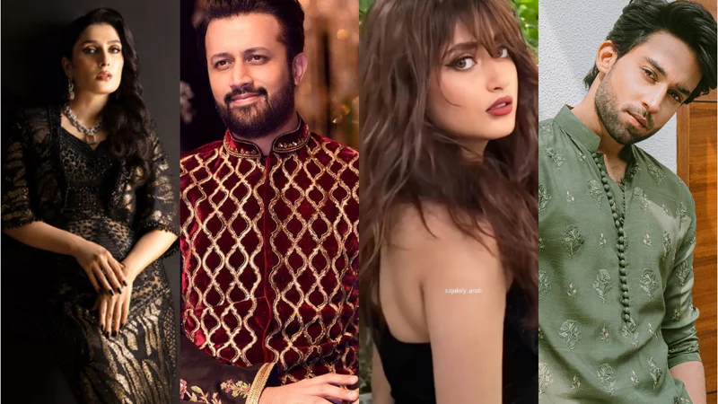 10 Pakistani Celebrities who never face online criticism