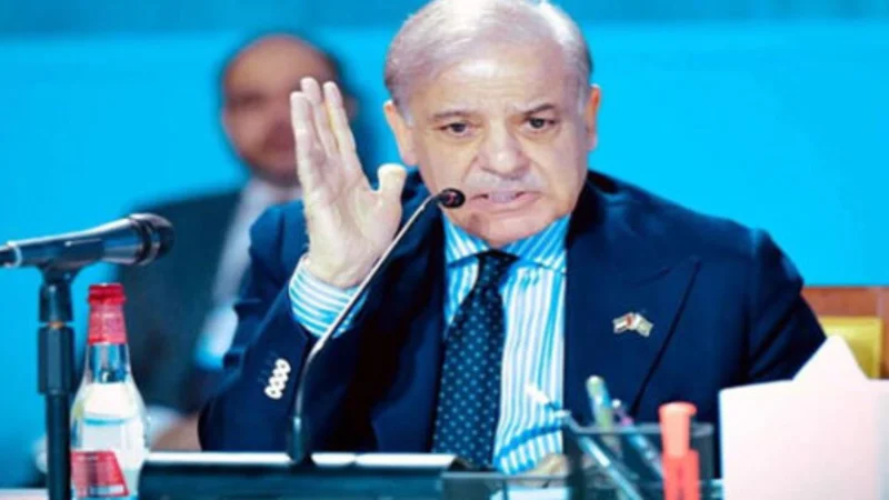 PM Shehbaz urges strengthening climate financing in his address to WGS
