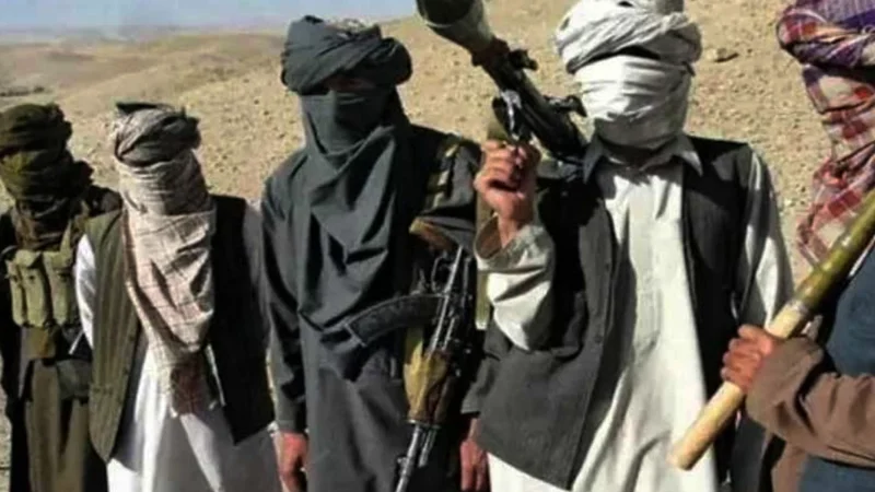 Afghan Taliban continue to provide financial support to TTP: UN report