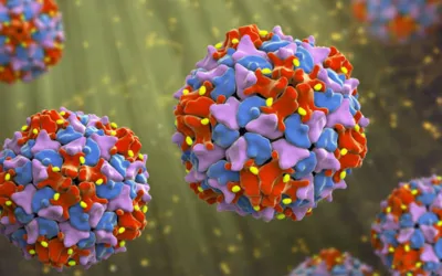 Poliovirus found in sewage samples of eight districts
