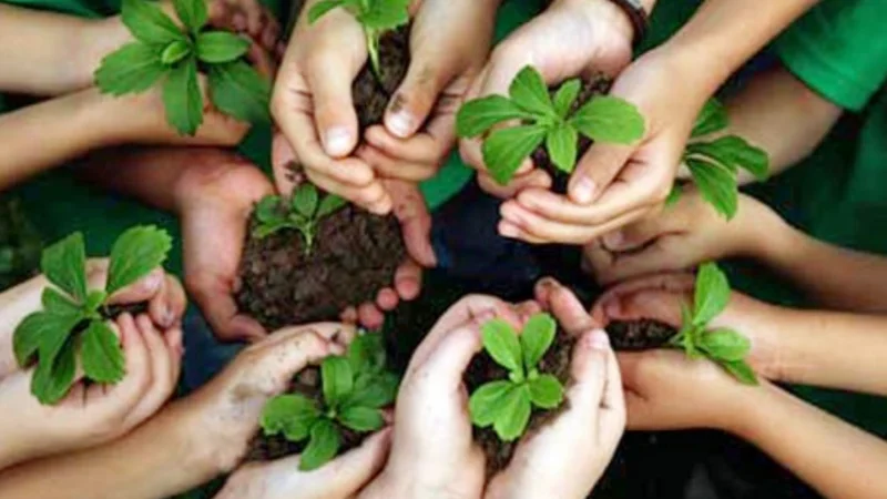 Ministry of Climate Change, PEMRA sign MoU to promote environmental awareness
