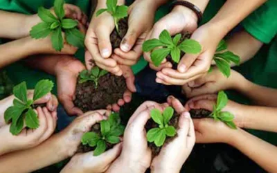 Ministry of Climate Change, PEMRA sign MoU to promote environmental awareness