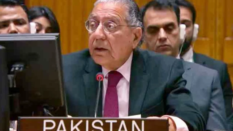 Pakistan urges well-defined plan to address Libya’s political deadlock